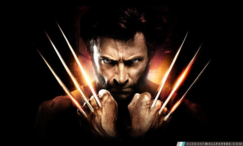 Wolverine Claws, Arrière-plans HD à télécharger