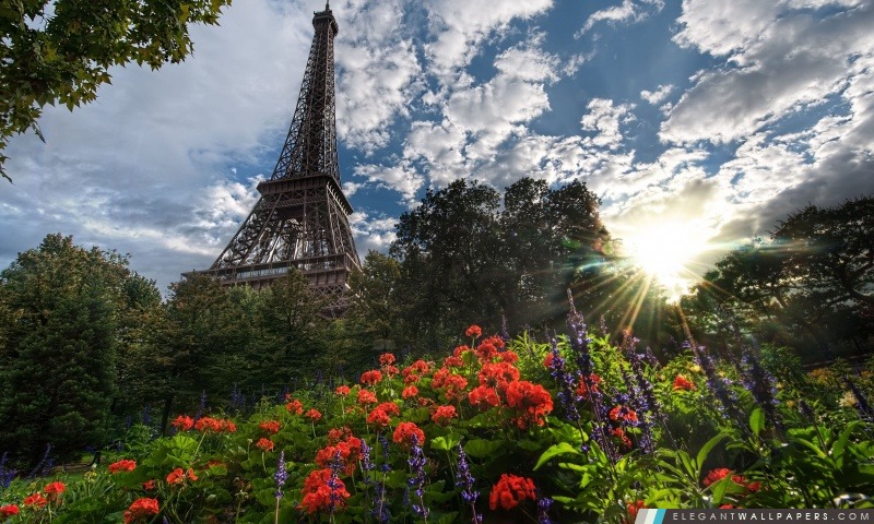 Vue de parc de la Tour Eiffel, Arrière-plans HD à télécharger