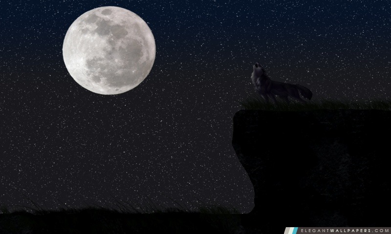 Loup et la Pleine Lune, Arrière-plans HD à télécharger