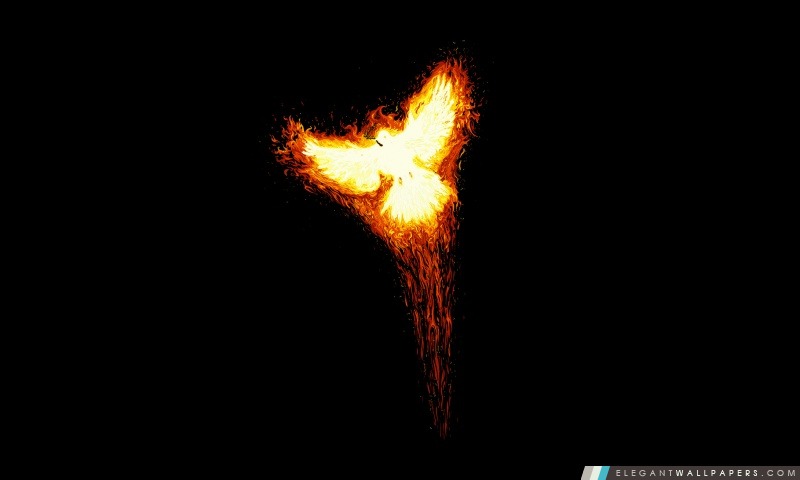 Oiseau de Phoenix, Arrière-plans HD à télécharger