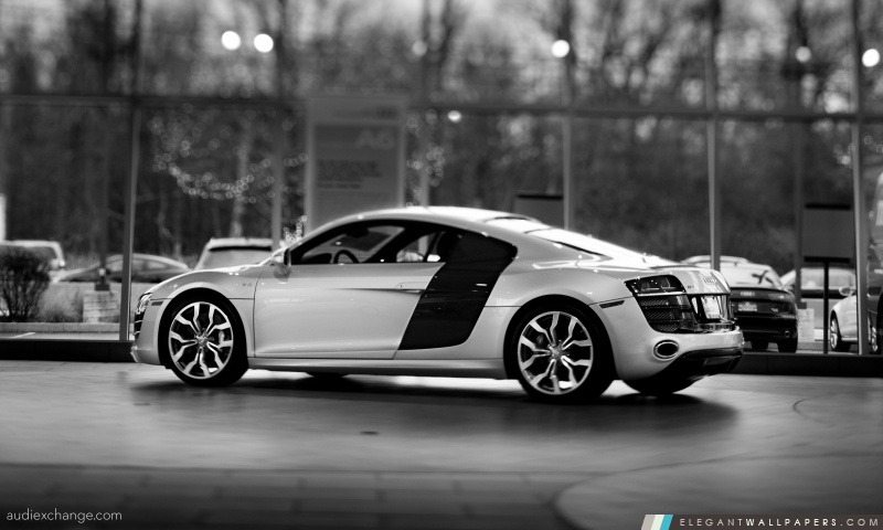 Audi R8 V10 5.2 FSI Coupe, Arrière-plans HD à télécharger