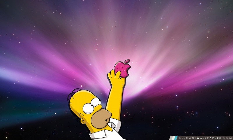 Homer Simpson Donut, Arrière-plans HD à télécharger