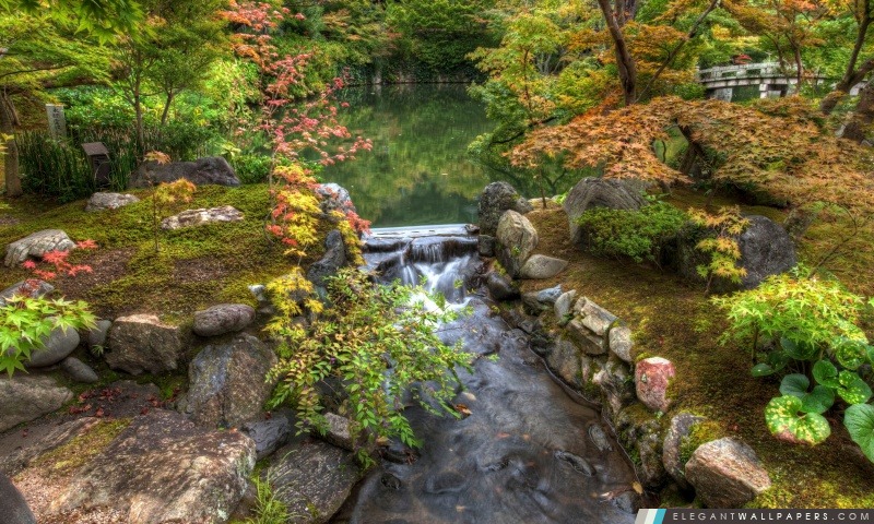 Jardin japonais, Arrière-plans HD à télécharger