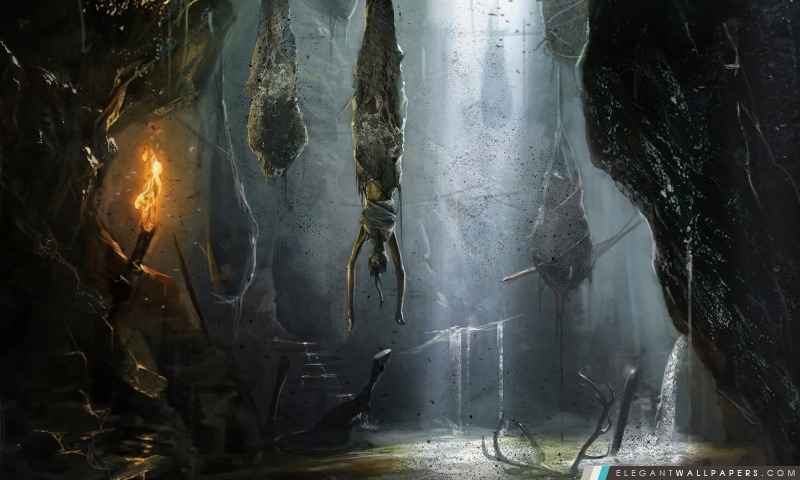 Tomb Raider 2013 – Den, Arrière-plans HD à télécharger