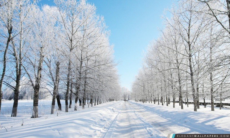 Route couverte de neige, Arrière-plans HD à télécharger