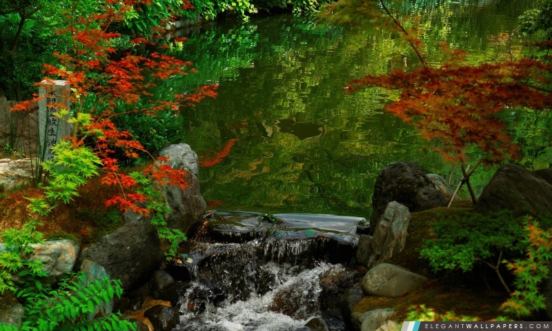 Kyoto Garden, Japon, Arrière-plans HD à télécharger