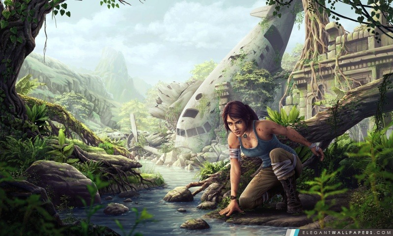 Tomb Raider Fan Art, Arrière-plans HD à télécharger