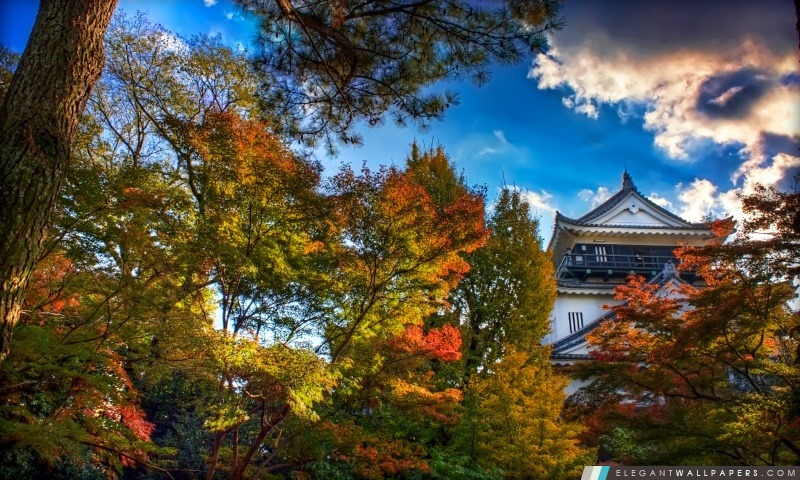 Château japonais, automne, Arrière-plans HD à télécharger