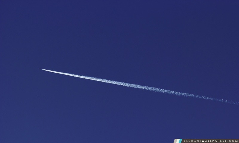 Fly in Blue Sky, Arrière-plans HD à télécharger