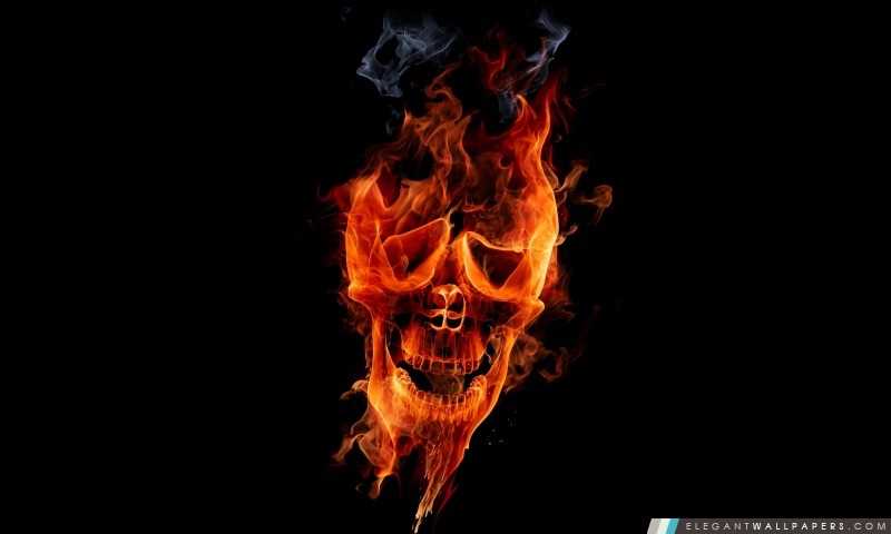 Fire Skull, Arrière-plans HD à télécharger