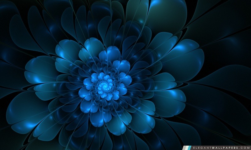 La fleur bleue, Arrière-plans HD à télécharger