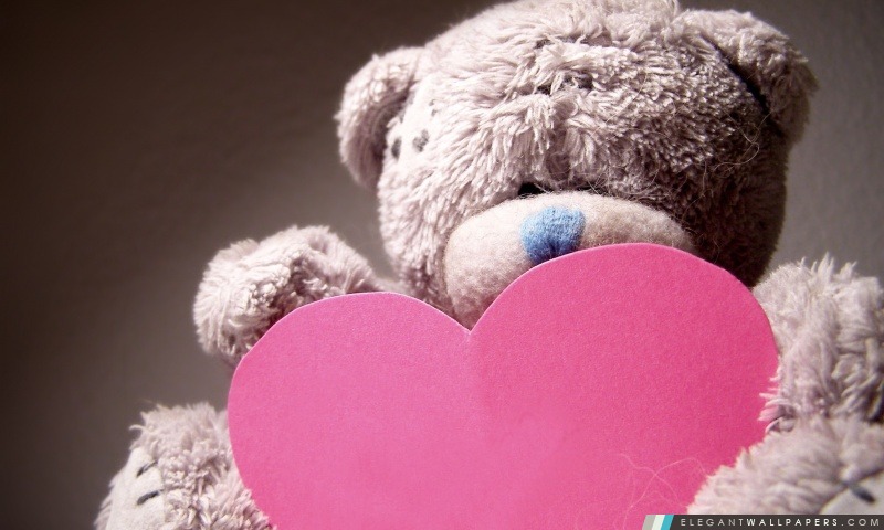 Saint Valentin Teddy Bear, Arrière-plans HD à télécharger
