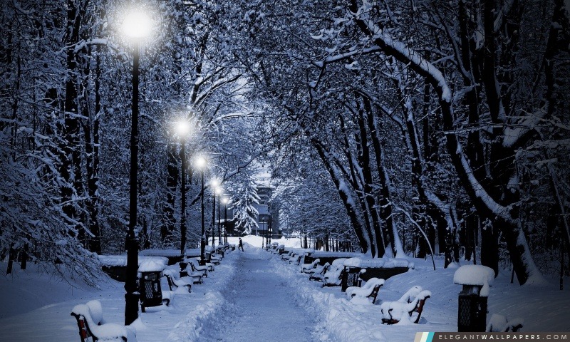 Parc de neige la nuit. Fond d'écran HD à télécharger | Elegant Wallpapers