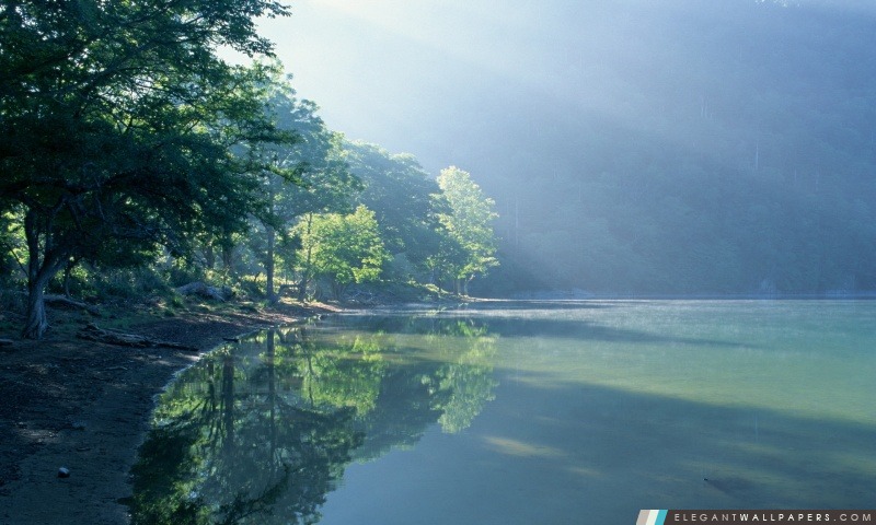 Green Lake dans la forêt, Arrière-plans HD à télécharger