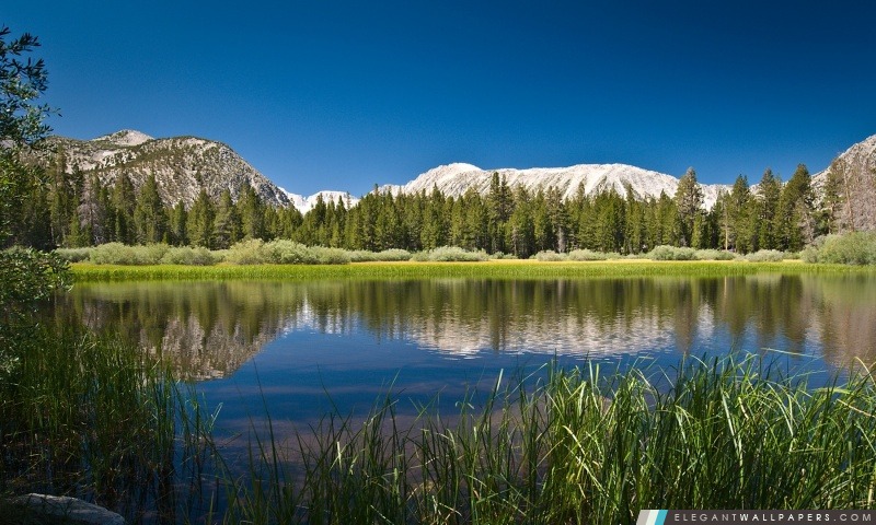 Mountain Lake, Arrière-plans HD à télécharger