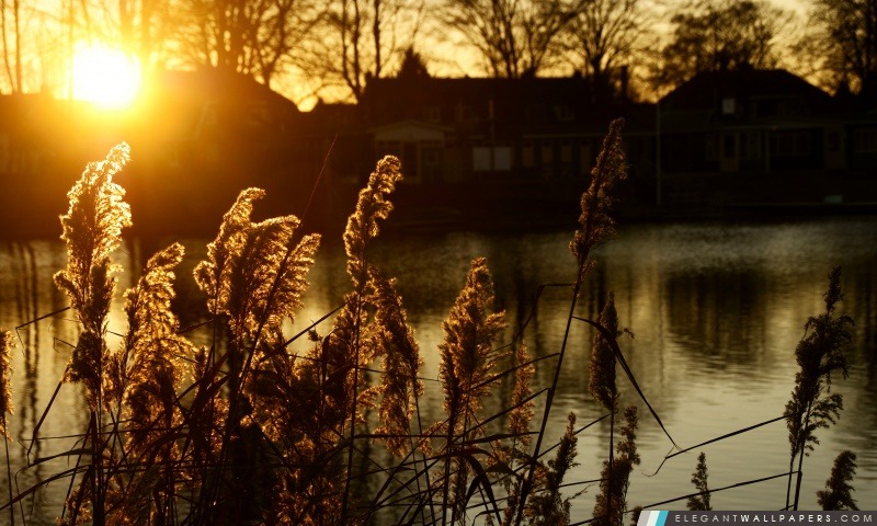 Coucher de soleil – Hengelo, Pays-Bas, Arrière-plans HD à télécharger