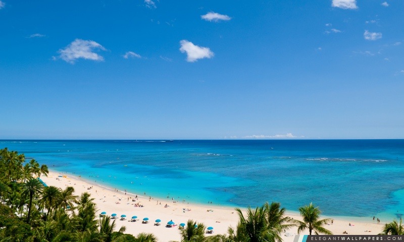 Waikiki Beach et l'océan Pacifique, Arrière-plans HD à télécharger
