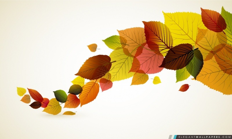 Autumn Leaves Background, Arrière-plans HD à télécharger