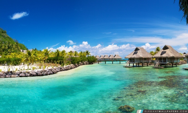 Hilton Bora Bora Nui Resort, Arrière-plans HD à télécharger