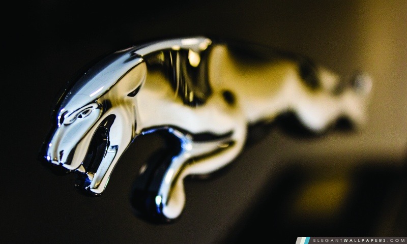Jaguar Logo Close-up, Arrière-plans HD à télécharger