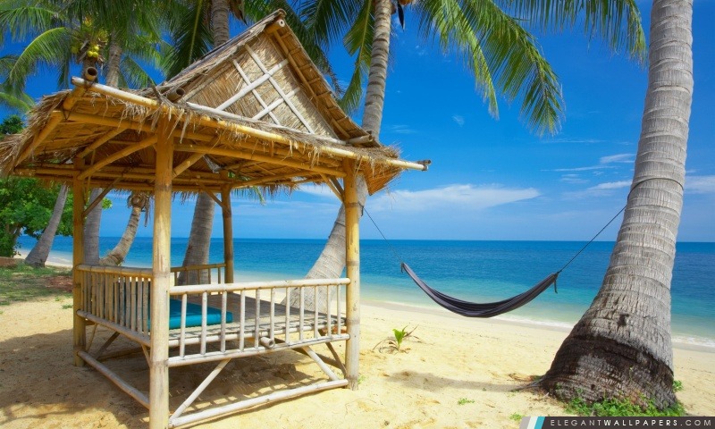Tropical Resort, Arrière-plans HD à télécharger