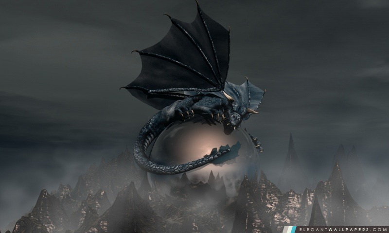 Black Dragon, Arrière-plans HD à télécharger
