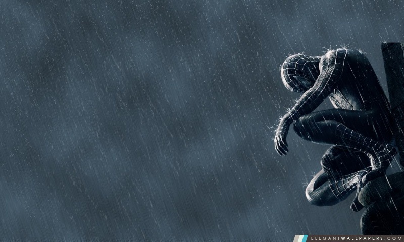 Spider Man In The Rain, Arrière-plans HD à télécharger