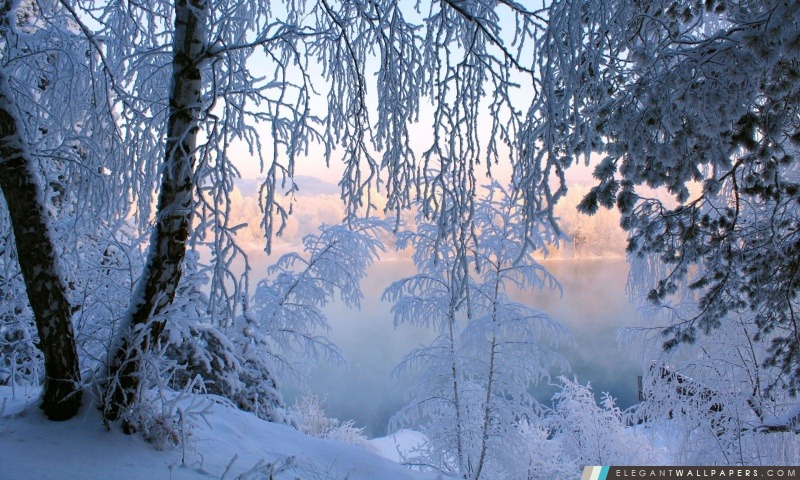Belle Frost d'hiver, Arrière-plans HD à télécharger
