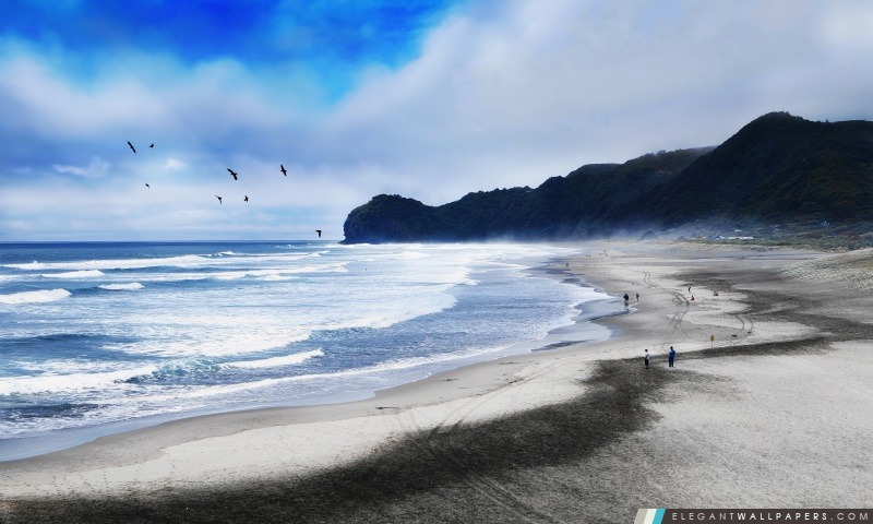 Piha Beach, Nouvelle-Zélande – Sérénité, Arrière-plans HD à télécharger