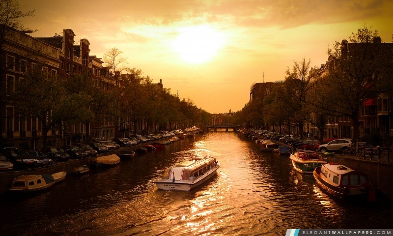 Canal Cruiser, Amsterdam, Arrière-plans HD à télécharger