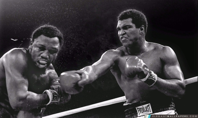Muhammad Ali, Arrière-plans HD à télécharger