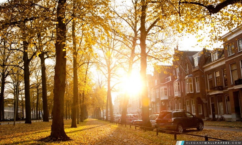 Ensoleillé automne après-midi à Utrecht, Arrière-plans HD à télécharger