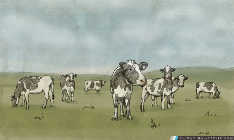 Vaches Dessin, Arrière-plans HD à télécharger