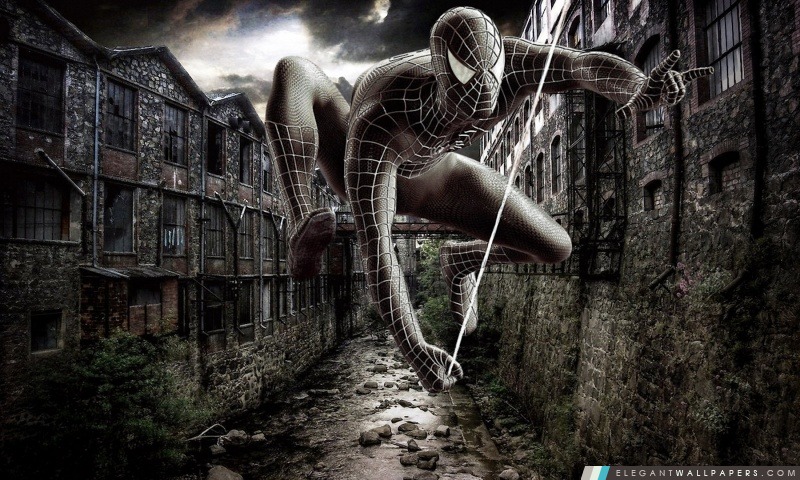 The Amazing Spider-Man motifs, Arrière-plans HD à télécharger