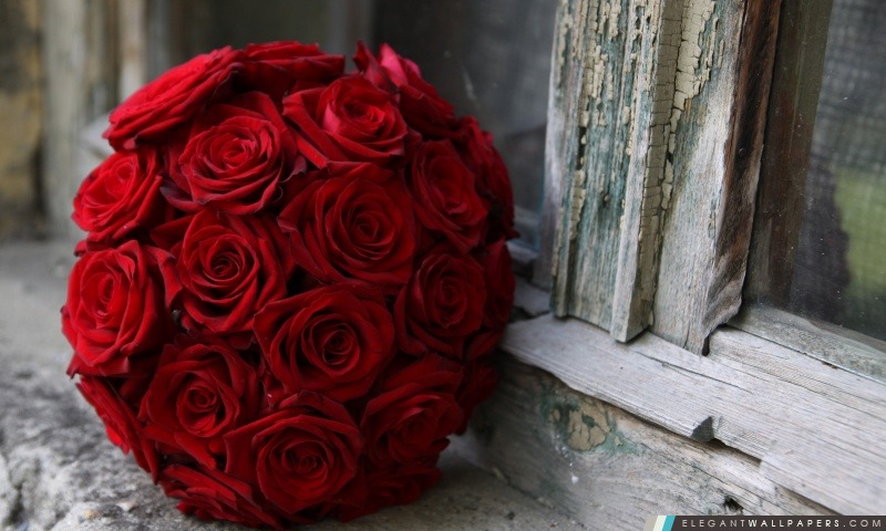 Roses rouges Bouquet de mariage, Arrière-plans HD à télécharger