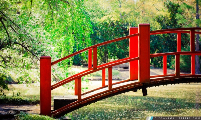 Pont japonais Jardin, Arrière-plans HD à télécharger