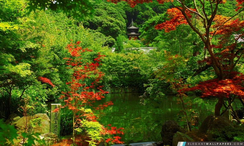 Kyoto Garden, Japon, Arrière-plans HD à télécharger