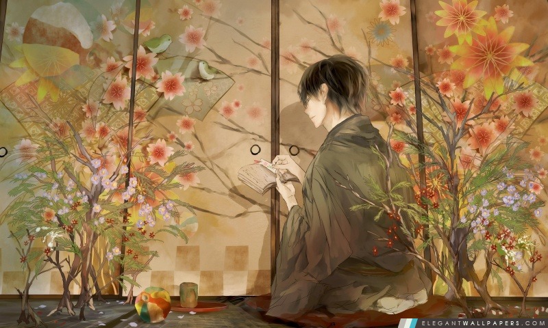 Kimono garçon, Arrière-plans HD à télécharger