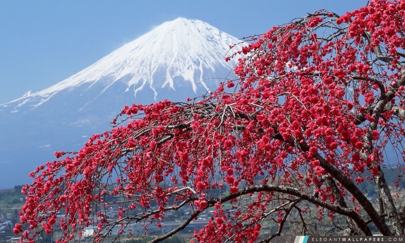 Mont Fuji, Arrière-plans HD à télécharger