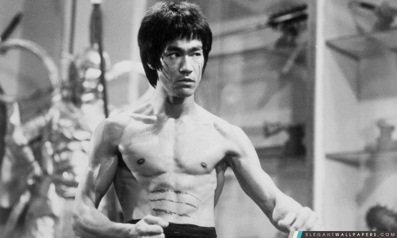 Bruce Lee noir et blanc, Arrière-plans HD à télécharger