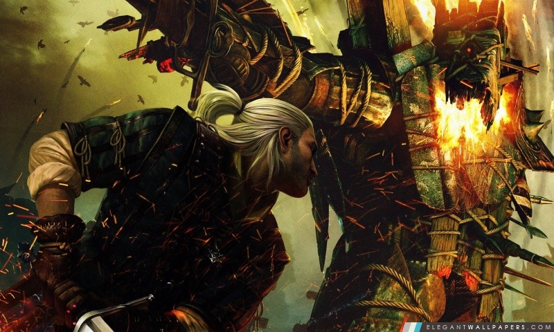 Geralt de Riv, The Witcher 2, Arrière-plans HD à télécharger