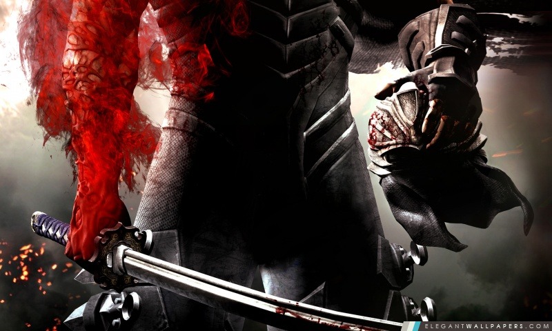 Ninja Gaiden III, Arrière-plans HD à télécharger