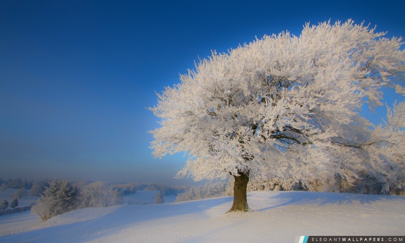 Beau paysage d'hiver, Arrière-plans HD à télécharger
