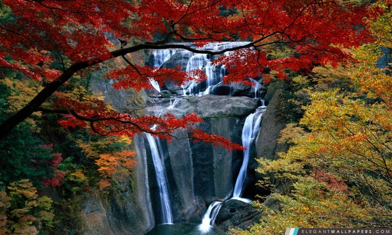 Waterfall, automne, Arrière-plans HD à télécharger