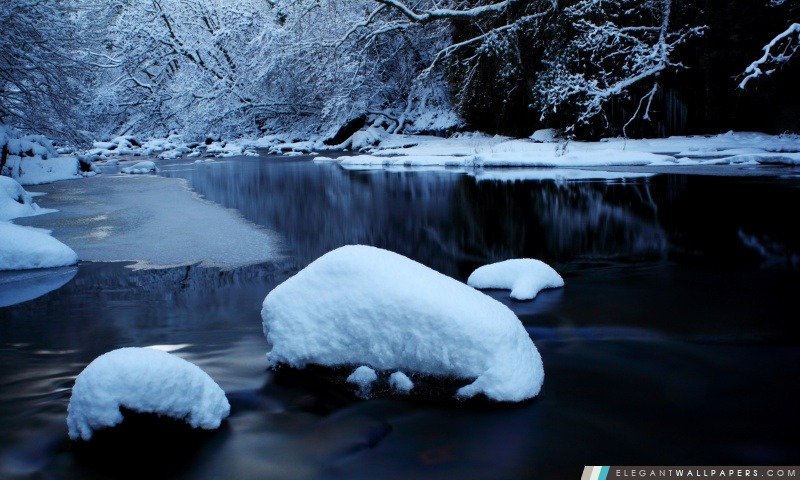 Forest River en hiver, Arrière-plans HD à télécharger