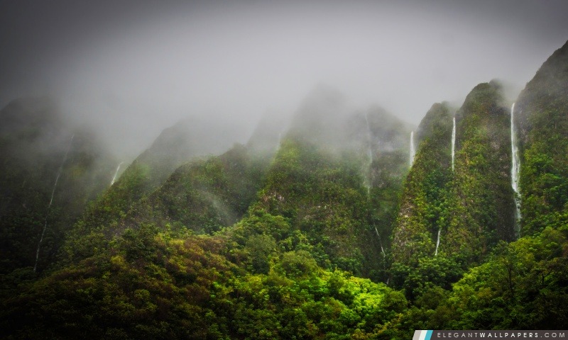 Cascades dans la Jungle, Arrière-plans HD à télécharger