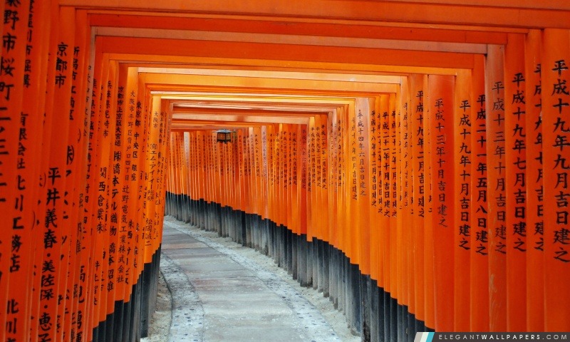 Fushimi Inari Taisha, Kyoto, Japon, Arrière-plans HD à télécharger
