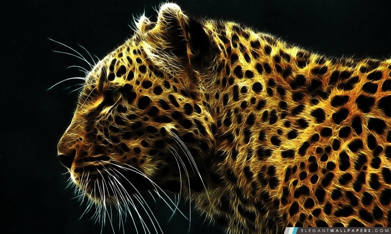 Cheetah In Fire, Arrière-plans HD à télécharger