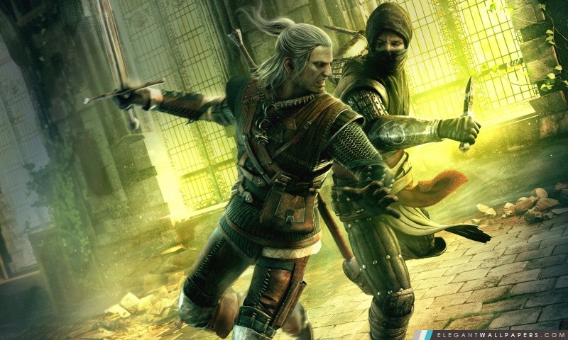 Witcher 2 Assassins of Kings, Arrière-plans HD à télécharger