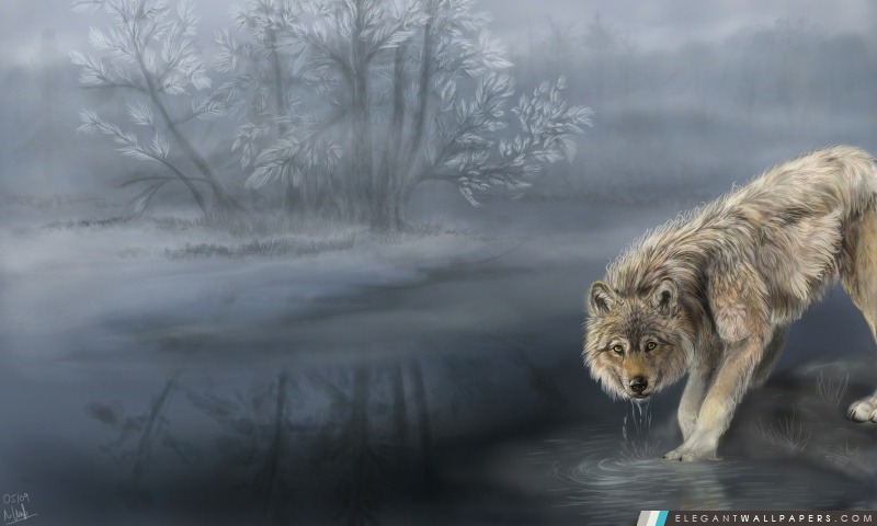 Peinture de loup de l'eau potable, Arrière-plans HD à télécharger
